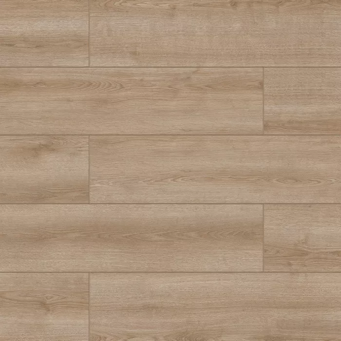 Дуб Барокко 2101