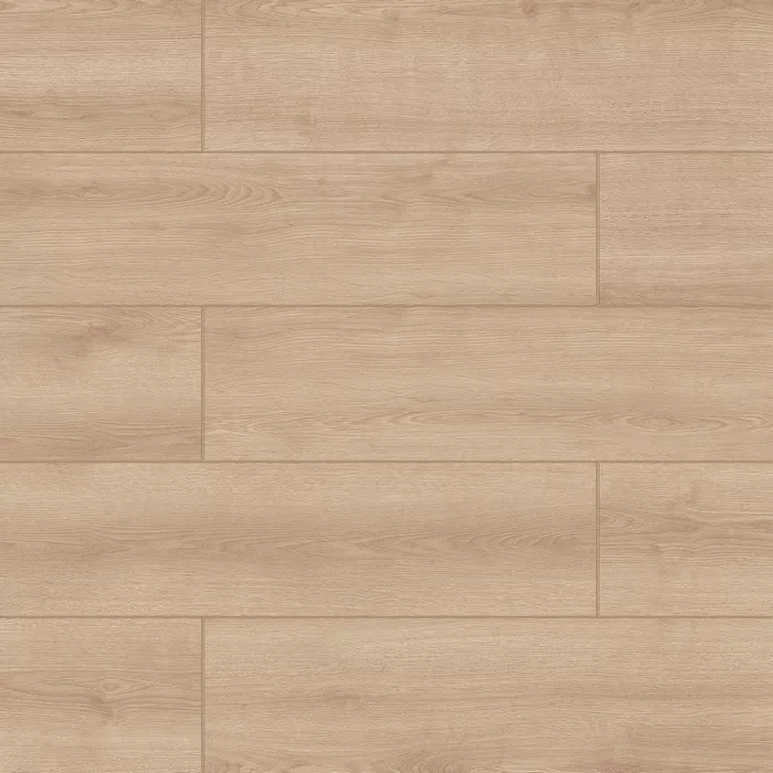 Дуб Белград 2102