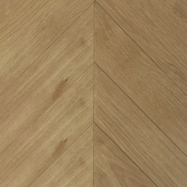 Дуб Халкон CH155.2 