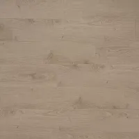 Дуб Клэптон