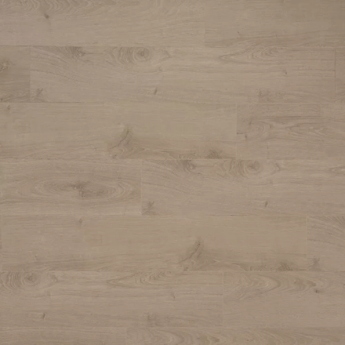 Дуб Клэптон