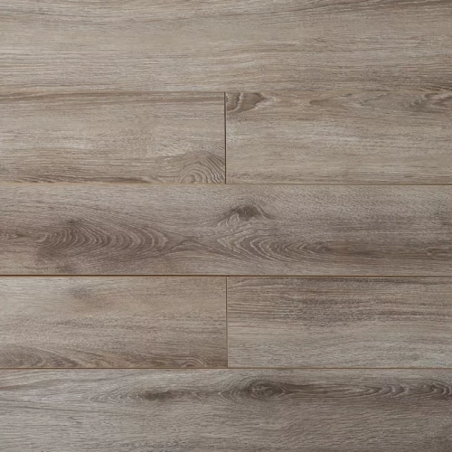 Дуб Черчиль 16147