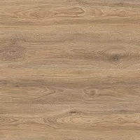 Дуб Скалистый IM 8466