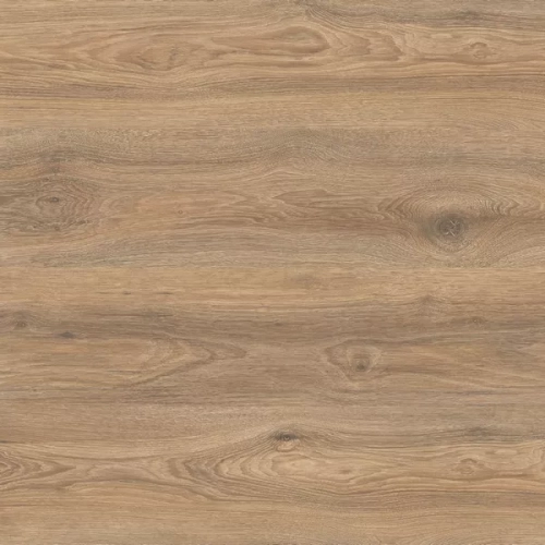 Дуб Скалистый IM 8466 Дуб Скалистый IM 8466