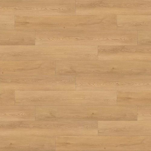 Дуб Веларус Натуральный 6248 