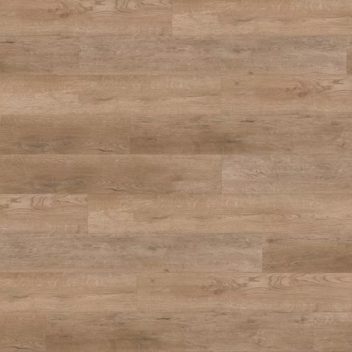 Дуб Корсар 5610