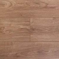 Вельвичия 3382 - Интернет магазин «Полы в Доме»