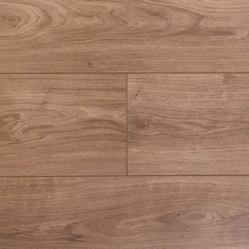 Вельвичия 3382