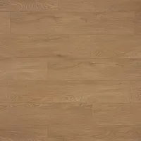 Дуб Сантана