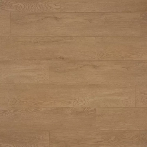 Дуб Сантана