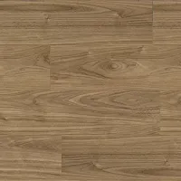 Орех Европейский 0036-2