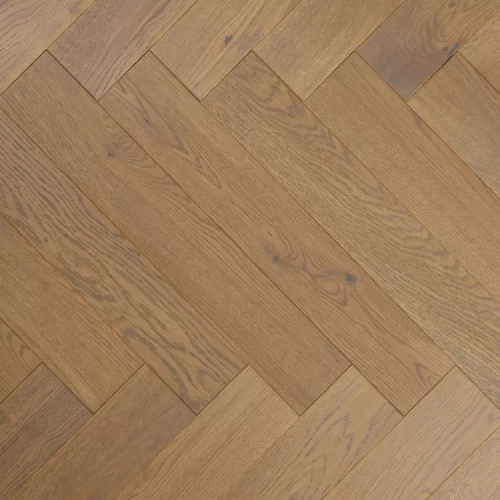 Дуб Тоскана