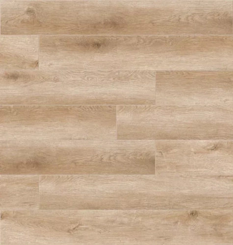 Дуб Бремен ZH-82021-7