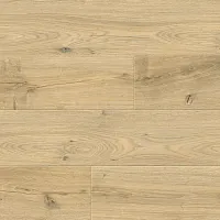 Дуб Риман 8335  - Интернет магазин «Полы в Доме»