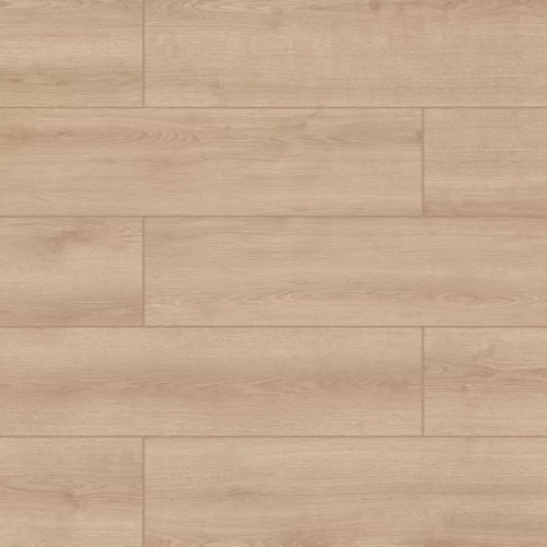 Дуб Белград 2102