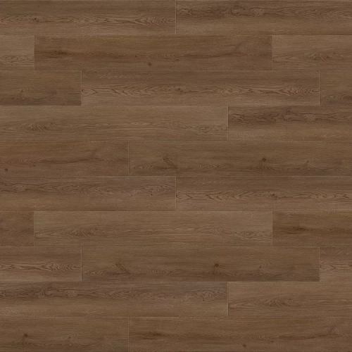 Дуб Веларус Античный 6244 