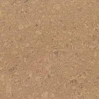 Champagne P905003 - Интернет магазин «Полы в Доме»