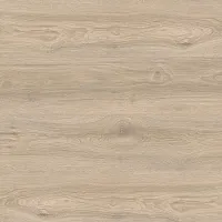 Дуб Кедровый IMU 8467