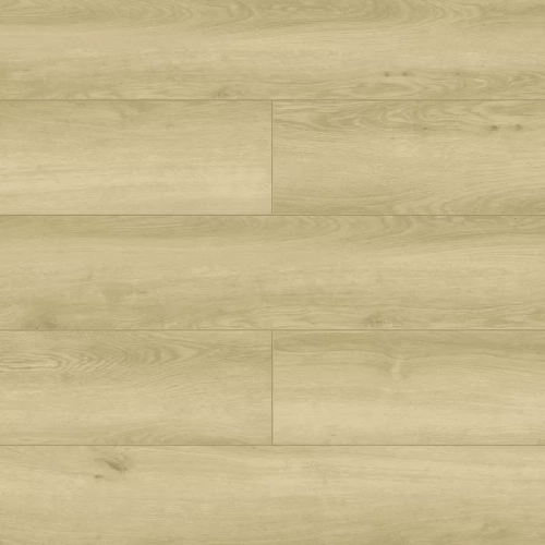 Legion 1044-11 Legion 1044-11