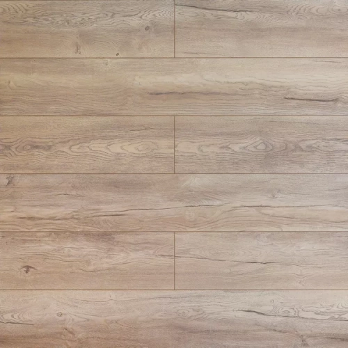 Дуб Небесный 1871