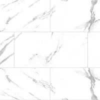 Stark Tone 1009-2 - Интернет магазин «Полы в Доме»