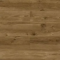 Дуб Корсика