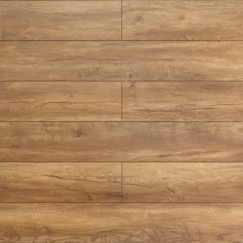 Дуб Терра 1873