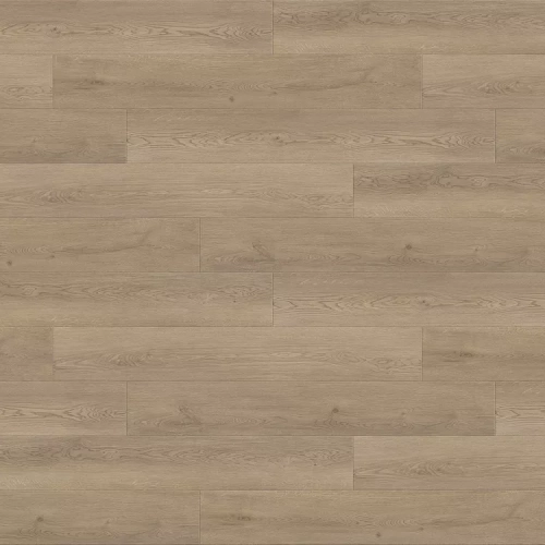 Дуб Веларус Дымчатый 6241 