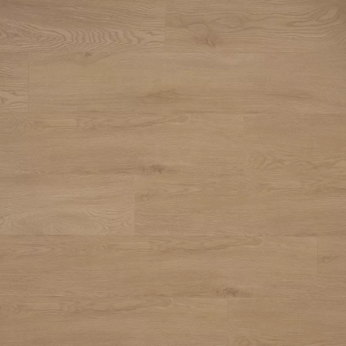 Дуб Вангелис