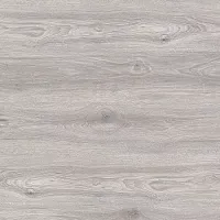 Дуб Северное Cияние IMU 8471