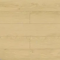 Дуб Тасмания