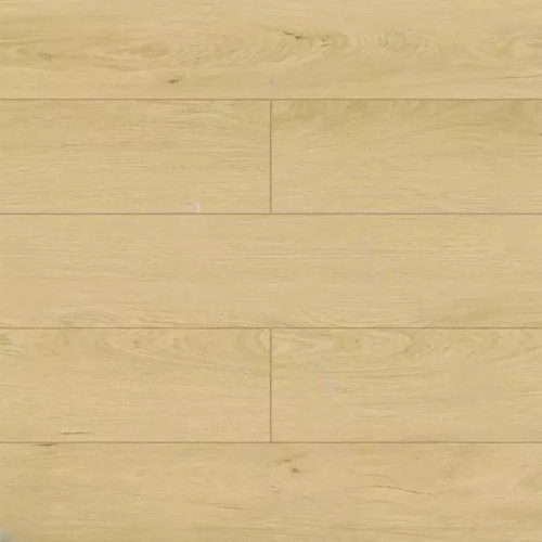 Дуб Тасмания Дуб Тасмания