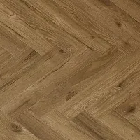 Дуб Корсика