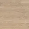 Дуб Светлый Матовый ALX1021