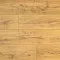 Дуб Голд AN DSG 905 - Интернет магазин «Полы в Доме»