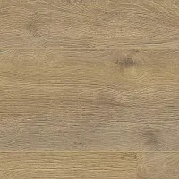 Дуб Эльба Природный D6009 - Интернет магазин «Полы в Доме»