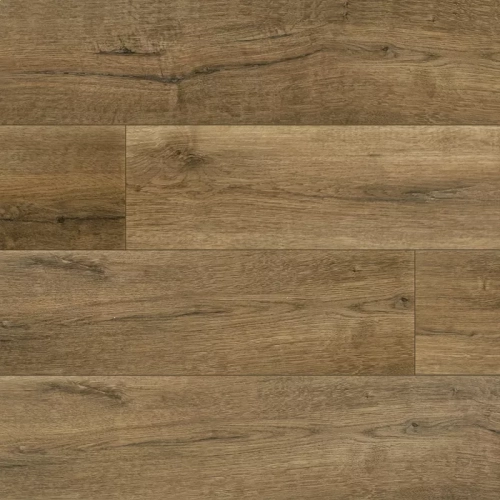 Дуб Виргинский 50-5009-5