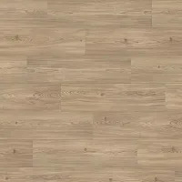 Пиния Флоренция 544687 - Интернет магазин «Полы в Доме»