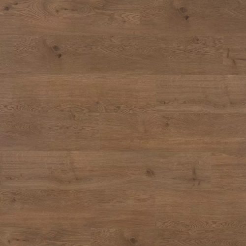 Дуб Хендрикс