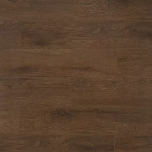 Дуб Моррисон