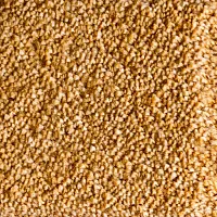 Fedone 48 - Интернет магазин «Полы в Доме»