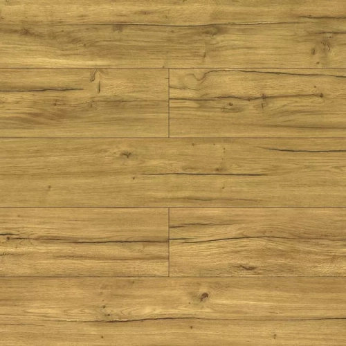 Дуб Пилея D40374 Дуб Пилея D40374