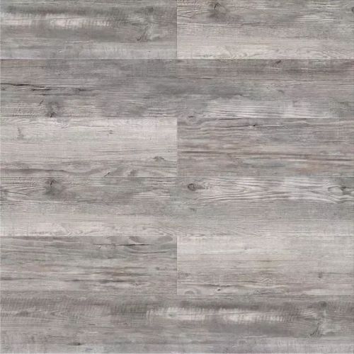 Сосна Монблан ZH-81101-1