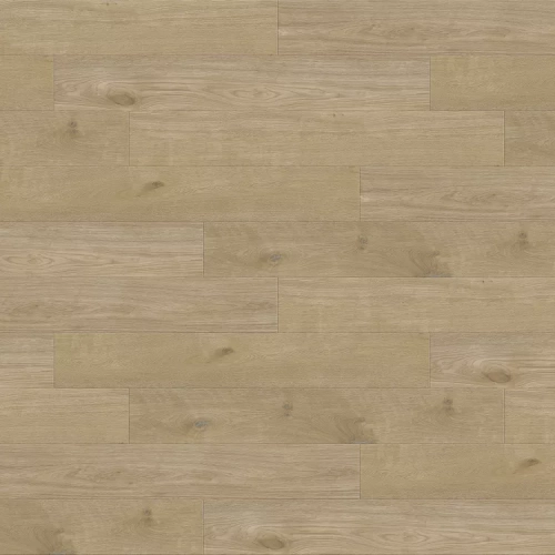 Дуб Бельгард 6112 