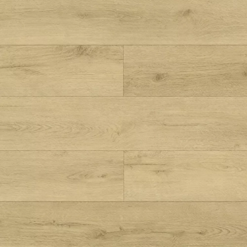 Фореста ECO 21-36