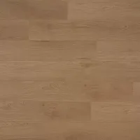 Дуб Спрингстин