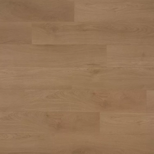 Дуб Спрингстин