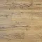 Дуб Кремовый AN DSG 904 - Интернет магазин «Полы в Доме»