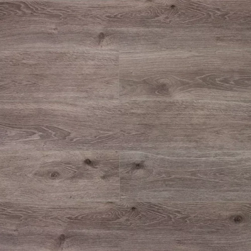 Дуб Хельсинки ZH-81126-3